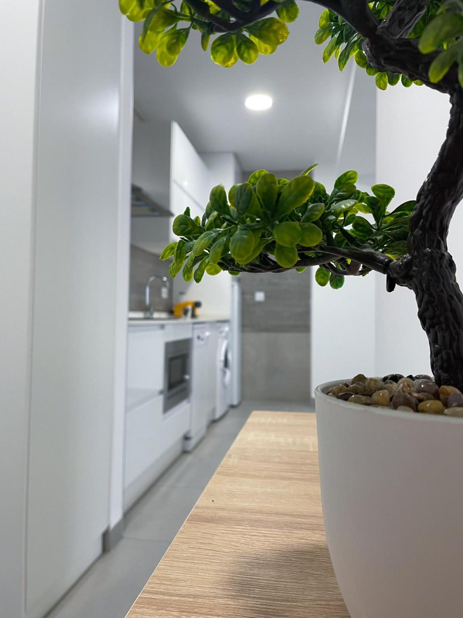 Apartamentos Lusitania Parking Gratis Bajo Disponibilidad Mérida Ngoại thất bức ảnh